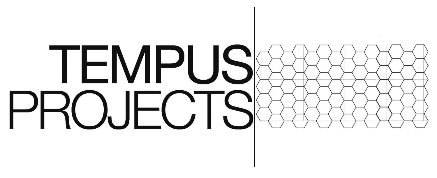 Tempus Projects Logo