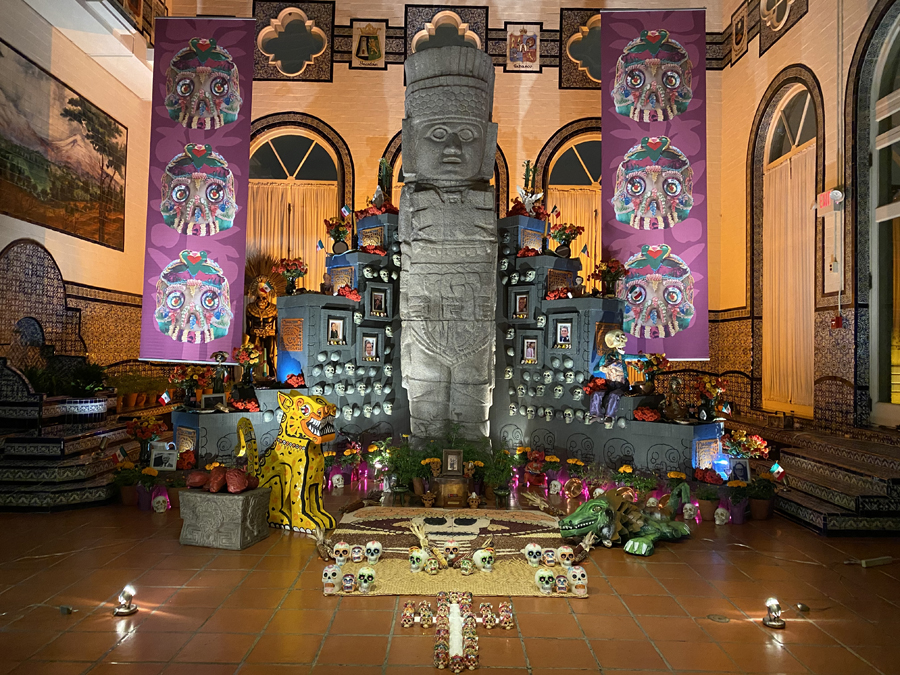 Dia De Los Muertos DC