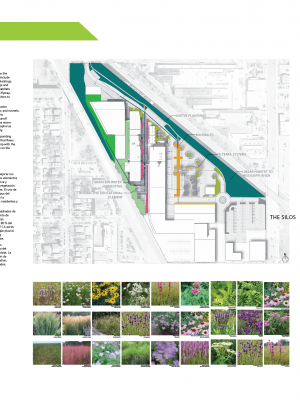 Plantings & Environmental Impact