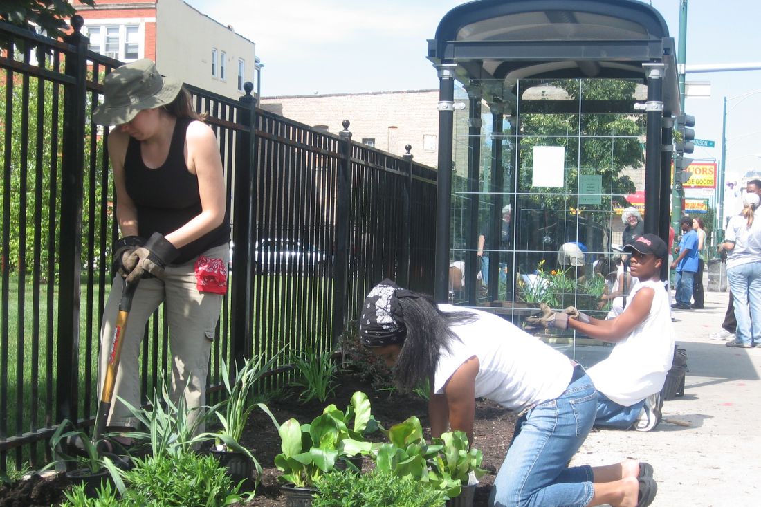 Community Garden