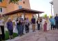 Artspace Feed & Grain