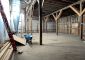 Artspace Feed & Grain